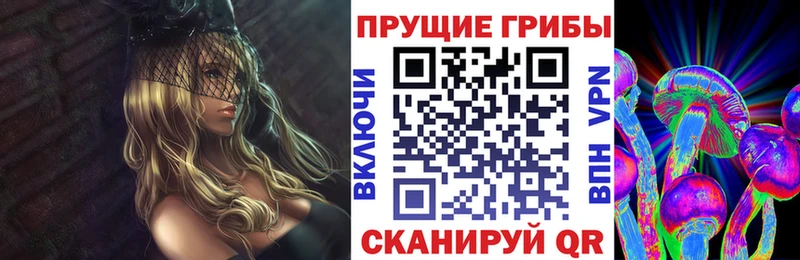 Галлюциногенные грибы Psilocybine cubensis  купить закладку  Суздаль 